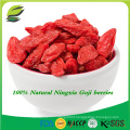 Ningxia goji berry factory with ISO HACCP GMP KOSHER certified